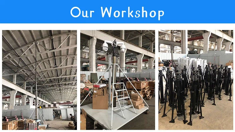 product-800-449 product-800-449